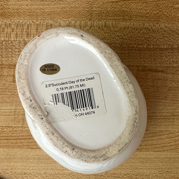 Skull Succulent Planter - Picture 2 of 2